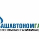 Инвестиционный проект "Газ в каждый дом" | Бизнес-портал InvestStarter