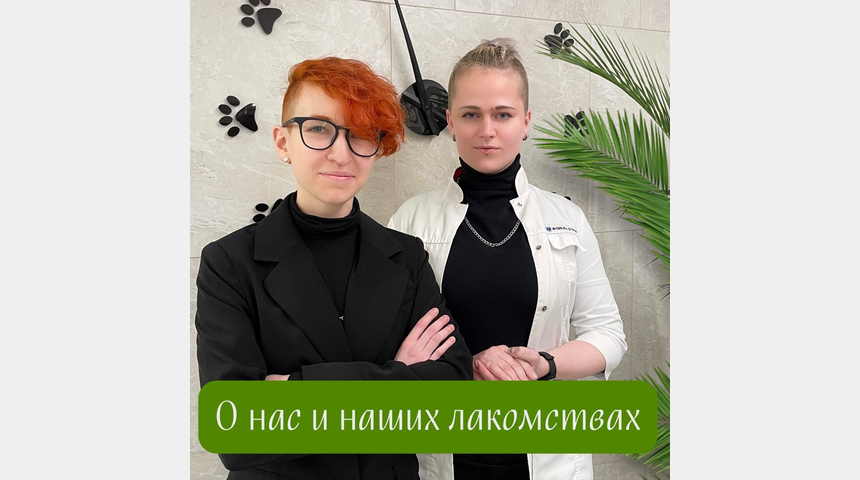 Лакомства для домашних животных &laquo;Созвездие Пса&raquo; | Бизнес-портал InvestStarter