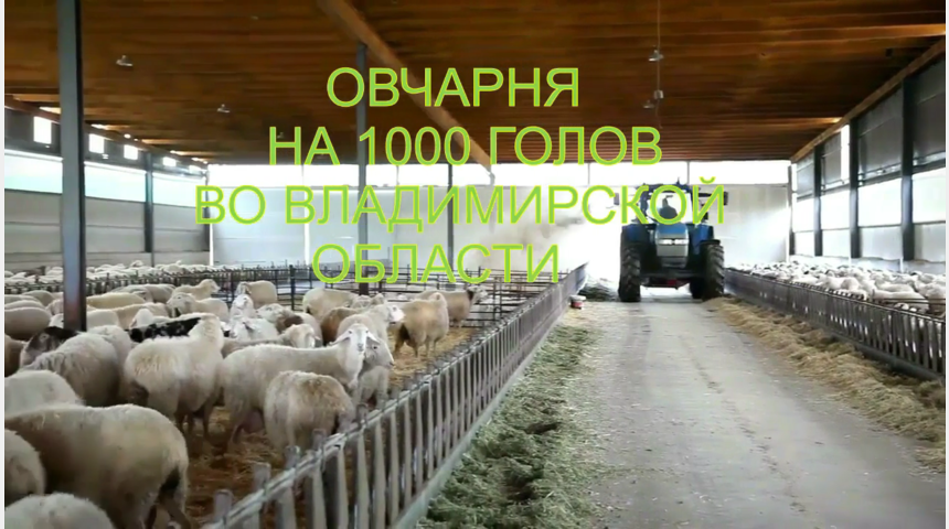 Инвестирование с доходностью 24% годовых | Бизнес-портал InvestStarter
