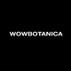 WOWBOTANICA - производство мебели и декора для дома | Бизнес-портал InvestStarter