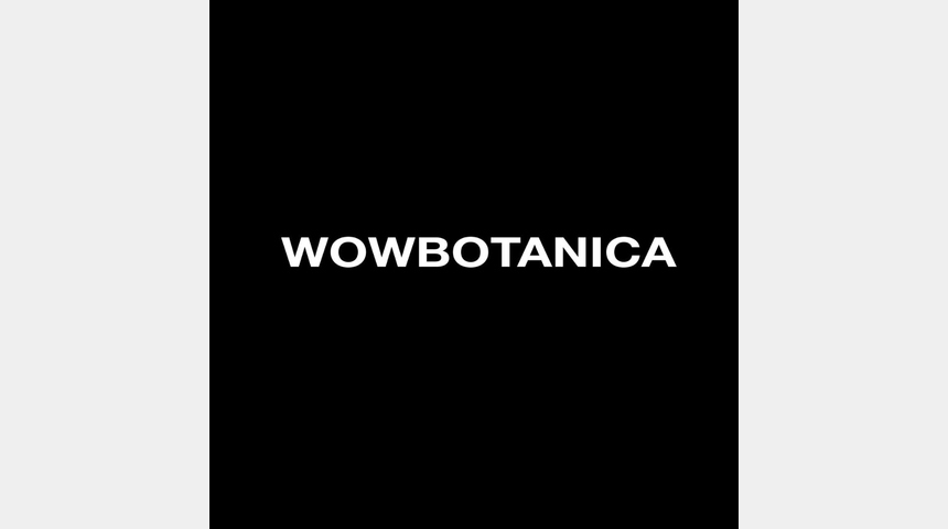 WOWBOTANICA - производство мебели и декора для дома | Бизнес-портал InvestStarter