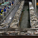 Добыча и переработка рыбы с дальнейшей реализацией продукции | Бизнес-портал InvestStarter