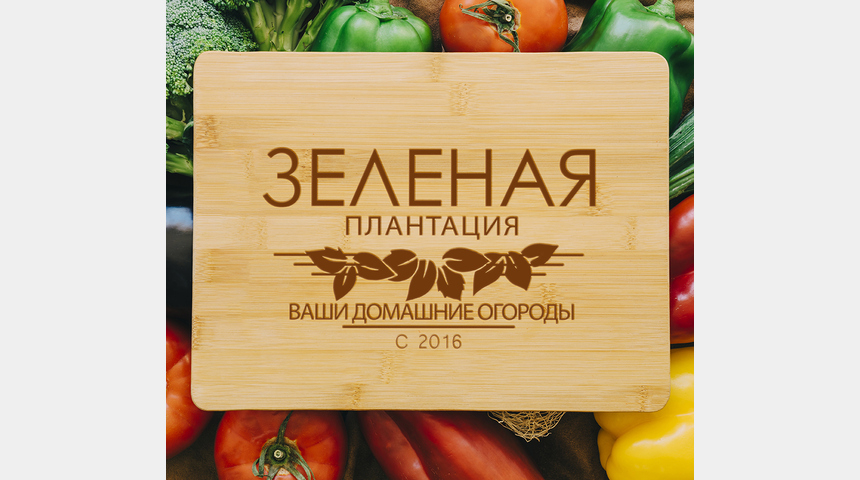 Выращивание салатов и зелени без солнца и грунта | Бизнес-портал InvestStarter