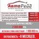 Федеральная сеть автомагазинов "Авто-Рейд" | Бизнес-портал InvestStarter